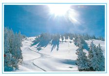 CPM Paysage hivernale