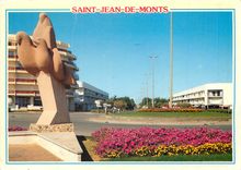 CPM Saint Jean de Monts (Vendee) L'avenue de la Foret et les Oiseaux de la mer