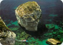 CPM Panorama de la Corse Bonifacio Cerne par les eaux transparentes