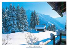 CPM Image de Montagne Le chalet blotti sous la neige
