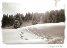 CPM Image de Montagne