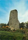 CPM Glomel pres Rostrenen (C du N) Le Menhir