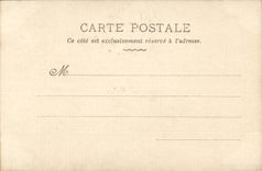 CPA Fantasy Woman Daisies