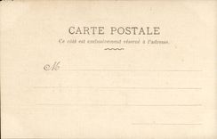 CPA Fantasy Woman Flower