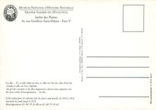 CPM Museum National d'Histoire Naturelle Iles