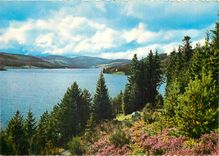 CPM Schwarzwald Schluchsee 930 m