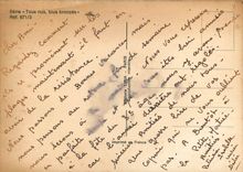 CPM Serie Tous nus tous bronzes