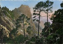 CPM Piana (Corse) Les Calanche