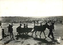 CPM Loire Atlantique Silhouettes de Plage Ane Mule