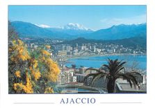 CPM La Corse Ile de Beaute Ajaccio Vue sur la Ville nouvelle Au loin le Monte d'Oro 