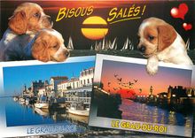 CPM Le Languedoc Le Grau du Roi Gard 