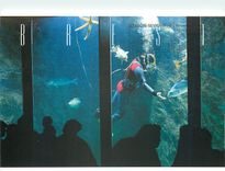CPM Brest Oceanopolis Le grand centre de Culture Scientifique 