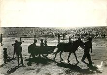 CPM Loire Atlantique Silhouettes de Plage Ane Mule