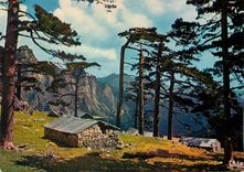 CPM Charmes et Couleurs de la Corse Col de Bavella 
