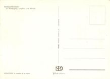 CPM Faneschwinger im Hintergang Jungfrau und Monch 