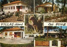 CPM Villas dans les Pins 
