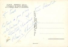 CPM Epernay Marne L'Orangerie du Jardin Francais de la Maison Moet et Chandon 