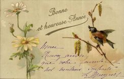 CPA Good Fantasy and happy year