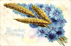 CPA Fantasy Better wishes