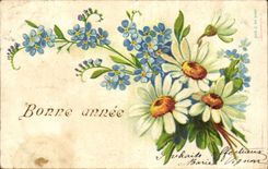 CPA Fantasy Happy New Year Flowers