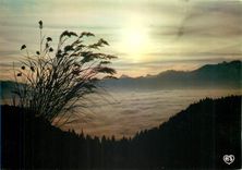 CPM Coucher de Soleil sur la Mer de Nuages 