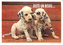 CPM Juste un Bisou 