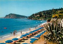 CPM Le Canadel Var La Plage de Lattre de Tassigny 