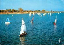 CPM Vichy Allier Regates sur le Lac d'Allier 