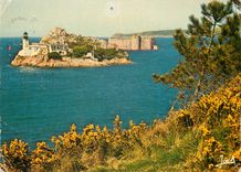 CPM Carantec L'Ile Louet et le Chateau du Taureau 