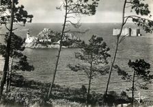 CPM Carantec Finistere L'Ile Louet et le Chateau du Taureau 