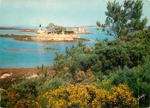 CPM Carantec La Perle du Nord Finistere L'Ile Louet et le Chateau du Taureau vus de la Cote 