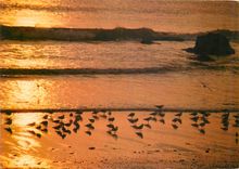 CPM Pour que la goutte d'Eau sorte de la poussiere 