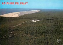 CPM Bassin d'Arcachon La Dune du Pilat 