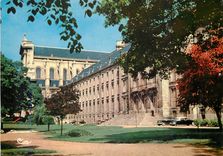 CPM Arras (P de C) Le Palais St Vaast et la Cathedrale