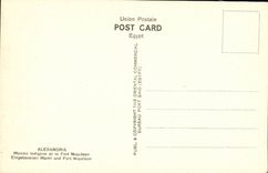 Afrique - Egypte - Egypt - Alexandria - Native Bazar and Fort Napoleon - CPA Ane Donkey