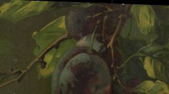 CPA noch Leben Phantasie-Pflaume