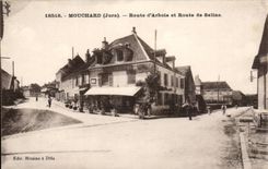 Berichterstatter - Strasse des alpinen Laburnum - Strasse die salzigen - CPA