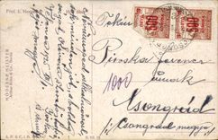 Kunste - Tabelle - die Frau die heruber benennt muss CPA (ungarisches Diagramm Ungarn Ungarn) befestigen