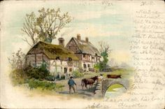 Animals - Bulls - Cozy cottage and bulldozers (Hungarian chart Hungary Hungary)