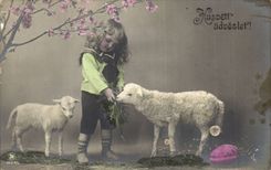 Fantasy - Child - Adorable Chil feeding lambs (Hungarian chart Hungary Hungary)