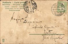 Animals - Cats - Sweet Cats playing with pussywillows (Hungarian chart Hungary Hungary) - CPA