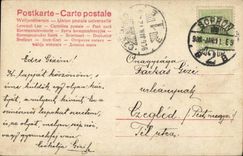 Fantasy - Woman - elegant Woman with hairdo - red flower CPA (Hungarian chart Hungary Hungary)