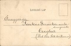 Fantasy - Woman - Busty Woman in traditional hat (Hungarian chart Hungary Hungary)