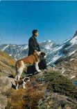 CPM Col du Grand Saint Bernard Un chanoine avec le chien Barry et son petit chiot Chiens