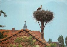 CPM Eine Reise wert Wendland Cigogne