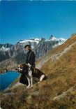 CPM Col du Grand Saint Bernard Un chanoine avec le chien Barry au fond le Pain de Sucre 