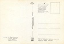 CPM Oliva Valencia Divers aspects 