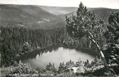 CPM Wildsee b Ruhestein i Schw 