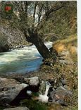 CPM Valls d Andorra Las Masnana Pont roman de San Antonio 