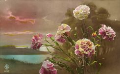 Fantasy CPA Flowers Roses